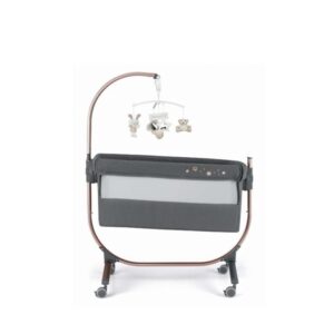 Cam Cododo cullami gold 163